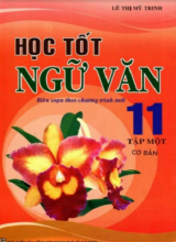 Học tốt ngữ văn 11 tập một